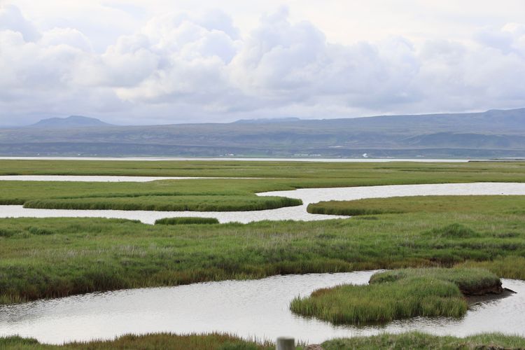 Mynd: Bára Huld Beck