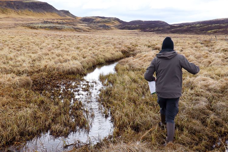 Hlynur Óskarsson, prófessor við Landbúnaðarháskóla Íslands, sýnir nemendum sínum svæðið Hestmýri/Mávahlíð með kennsluefni í höndunum. Mynd: Leon Camillo Brandl, maí 2026