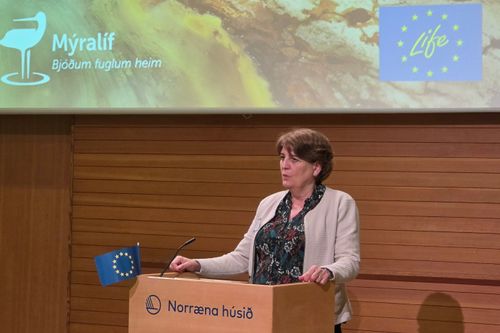 Ragnheiður I. Þórarinsdóttir, rektor LBHÍ. Mynd: Rannís